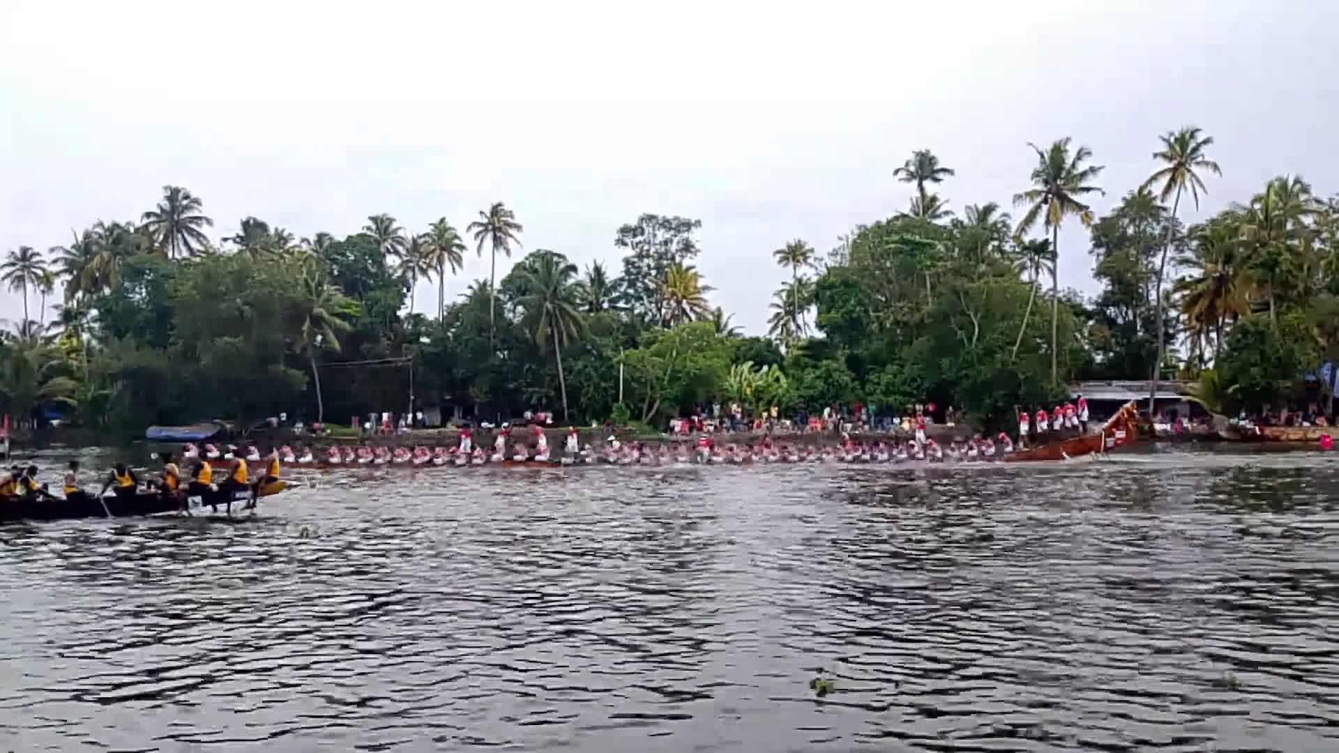 Kerala snake boat race (Vallam Kali) on the palm-lined backwaters
